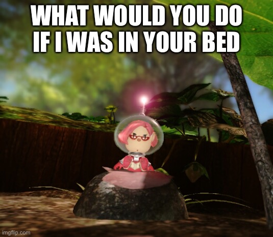 Brittany simp in your bed | WHAT WOULD YOU DO IF I WAS IN YOUR BED | made w/ Imgflip meme maker