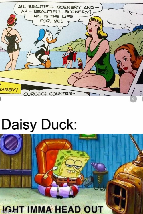 Donald what have you done | Daisy Duck: | image tagged in disney,donald duck,daisy duck | made w/ Imgflip meme maker