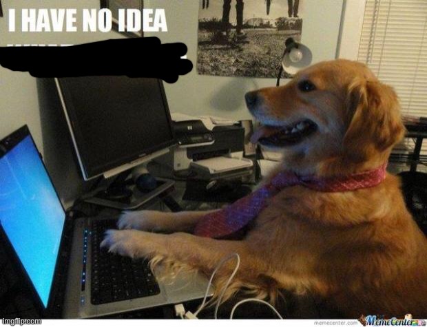 I have no idea what i'm doing dog | image tagged in i have no idea what i'm doing dog | made w/ Imgflip meme maker