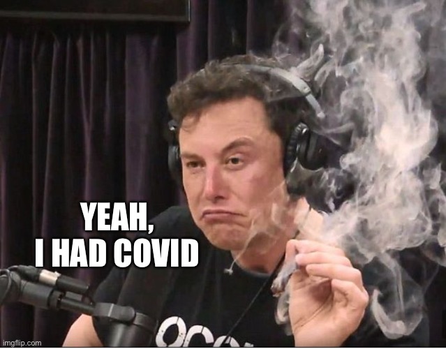 Elon Musk smoking a joint | YEAH, I HAD COVID | image tagged in elon musk smoking a joint | made w/ Imgflip meme maker