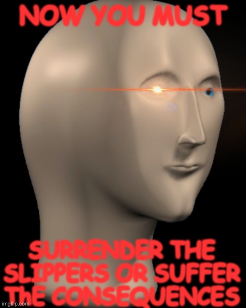 NOW YOU MUST SURRENDER THE SLIPPERS OR SUFFER ThE CONSEQUENCES | made w/ Imgflip meme maker