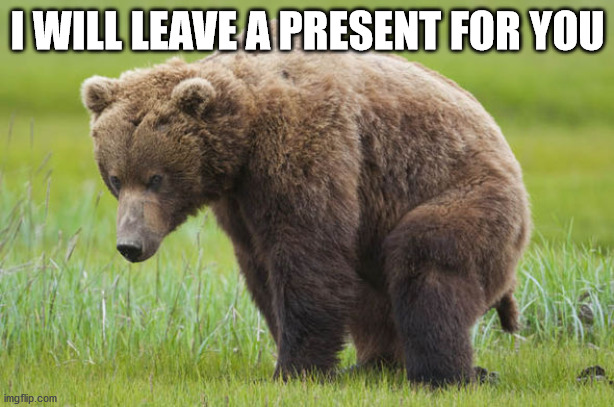 Bear pooping | I WILL LEAVE A PRESENT FOR YOU | image tagged in bear pooping | made w/ Imgflip meme maker