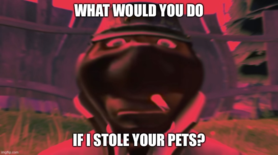 Spy looking | WHAT WOULD YOU DO; IF I STOLE YOUR PETS? | image tagged in spy looking | made w/ Imgflip meme maker
