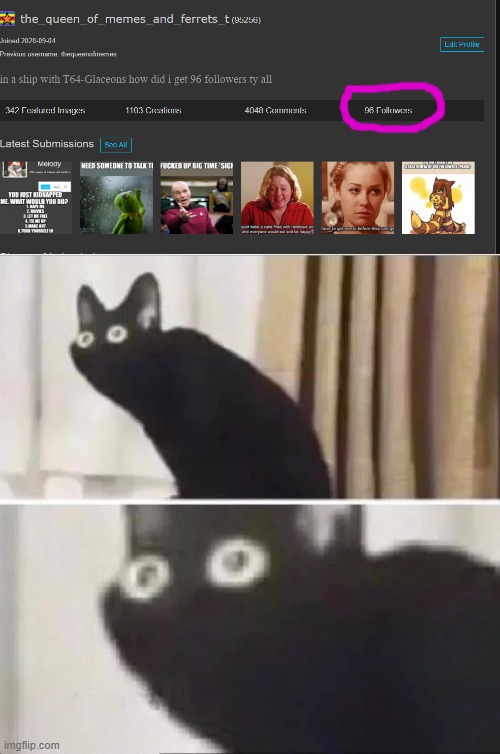 nooooooooooooooooooooooooooooo | image tagged in oh no black cat | made w/ Imgflip meme maker