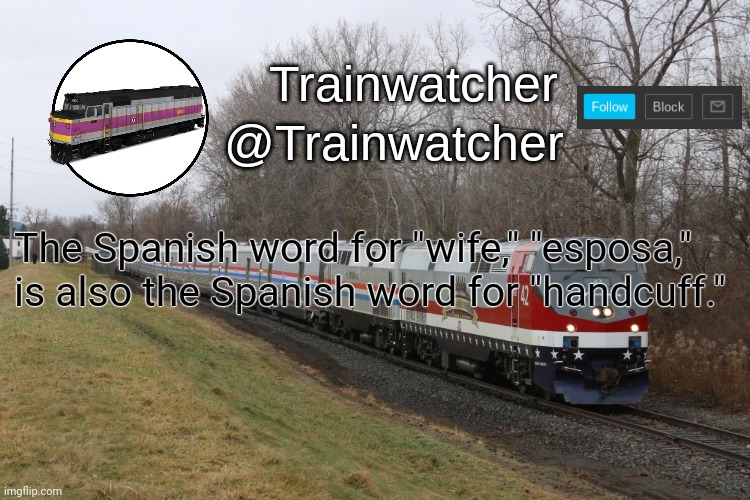 Trainwatcher Announcement 3 | The Spanish word for "wife," "esposa," is also the Spanish word for "handcuff." | image tagged in trainwatcher announcement 3 | made w/ Imgflip meme maker