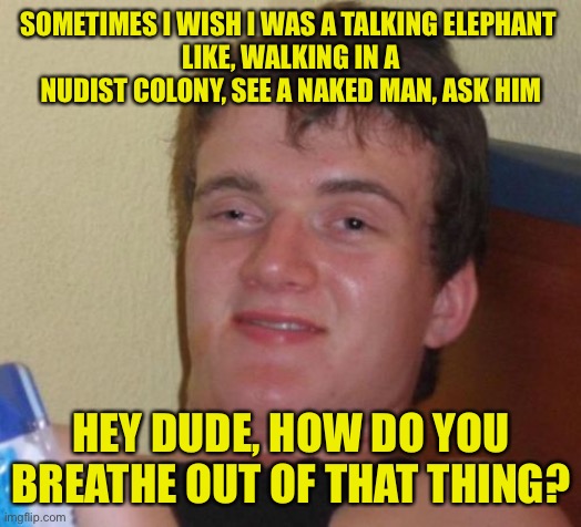 If 10 guy was a talking elephant | SOMETIMES I WISH I WAS A TALKING ELEPHANT 
LIKE, WALKING IN A NUDIST COLONY, SEE A NAKED MAN, ASK HIM; HEY DUDE, HOW DO YOU BREATHE OUT OF THAT THING? | image tagged in memes,10 guy,funny,funny memes,elephant,nudist | made w/ Imgflip meme maker