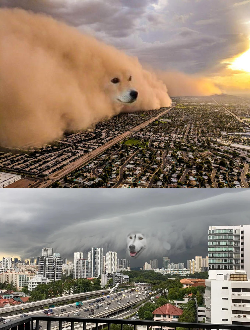 High Quality Doge sandstorm Blank Meme Template