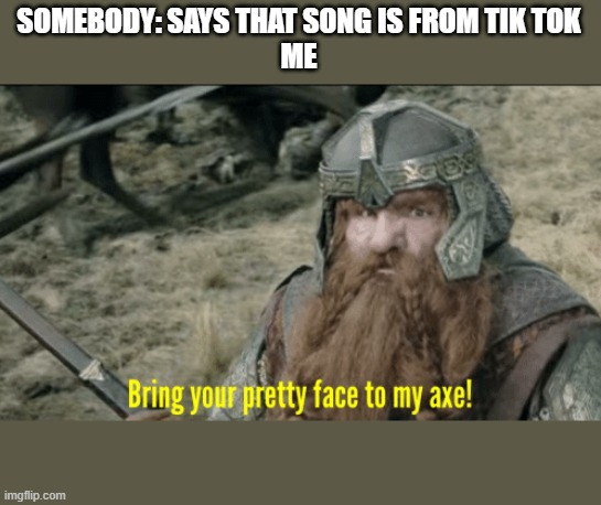 Bring your pretty face to my axe! | SOMEBODY: SAYS THAT SONG IS FROM TIK TOK
ME | image tagged in bring your pretty face to my axe | made w/ Imgflip meme maker