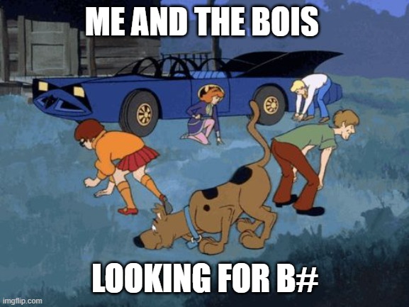 Scooby Doo Search | ME AND THE BOIS; LOOKING FOR B# | image tagged in scooby doo search | made w/ Imgflip meme maker