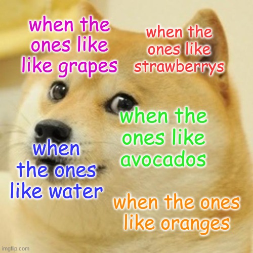 Doge Meme | when the ones like like grapes; when the ones like strawberrys; when the ones like avocados; when the ones like water; when the ones like oranges | image tagged in memes,doge | made w/ Imgflip meme maker