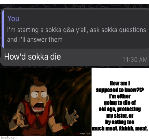 Sokka Q&A Part 3 | How am I supposed to know?!? I'm either going to die of old age, protecting my sister, or by eating too much meat. Ahhhh, meat. | image tagged in blank white template,sokka,avatar,avatar the last airbender | made w/ Imgflip meme maker