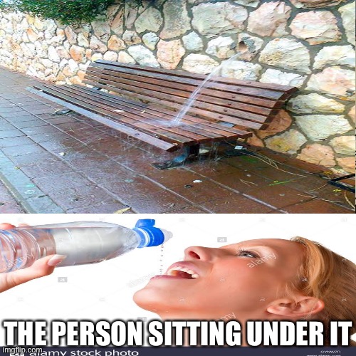 THE PERSON SITTING UNDER IT | image tagged in water | made w/ Imgflip meme maker