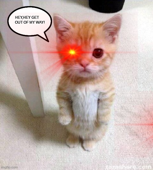 when you get mad at some one in your way. | HEY,HEY GET OUT OF MY WAY! | image tagged in memes,cute cat | made w/ Imgflip meme maker