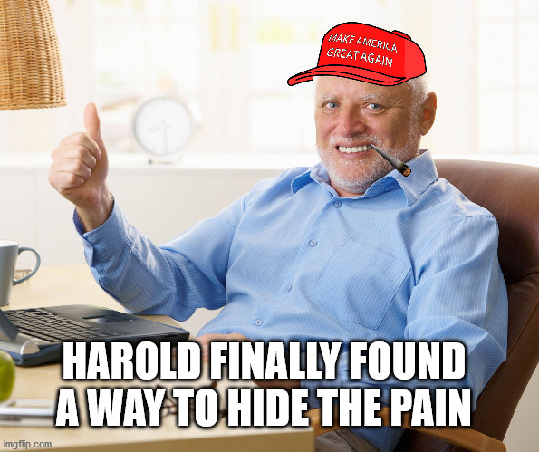 by making the country great again | HAROLD FINALLY FOUND A WAY TO HIDE THE PAIN | image tagged in hide the pain harold,maga,legalize weed | made w/ Imgflip meme maker