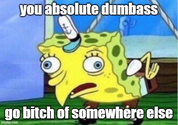 me during every pet commercial | you absolute dumbass; go bitch of somewhere else | image tagged in memes,mocking spongebob | made w/ Imgflip meme maker