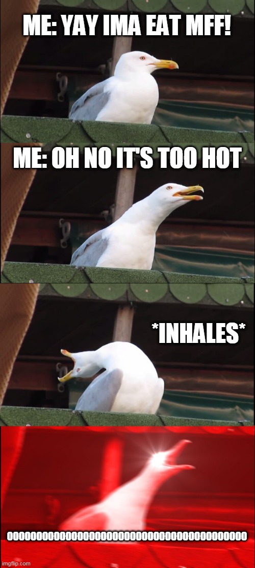 Inhaling Seagull | ME: YAY IMA EAT MFF! ME: OH NO IT'S TOO HOT; *INHALES*; OOOOOOOOOOOOOOOOOOOOOOOOOOOOOOOOOOOOOOOOO | image tagged in memes,inhaling seagull | made w/ Imgflip meme maker