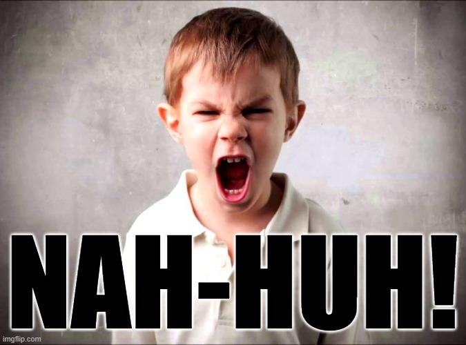 Uh-huh! | NAH-HUH! | image tagged in kid yelling | made w/ Imgflip meme maker