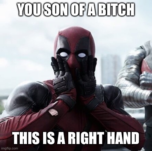 Deadpool Surprised Meme | YOU SON OF A BITCH THIS IS A RIGHT HAND | image tagged in memes,deadpool surprised | made w/ Imgflip meme maker