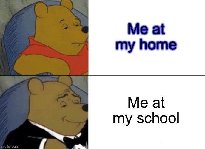 Tuxedo Winnie The Pooh Meme | Me at my home; Me at my school | image tagged in memes,tuxedo winnie the pooh | made w/ Imgflip meme maker