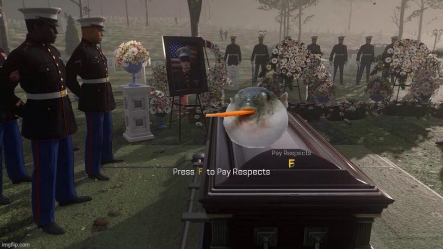 Press F to Pay Respects | image tagged in press f to pay respects | made w/ Imgflip meme maker