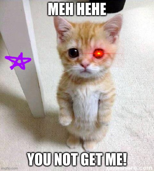 when you are the PRO at playing tag: | MEH HEHE; YOU NOT GET ME! | image tagged in memes,cute cat | made w/ Imgflip meme maker