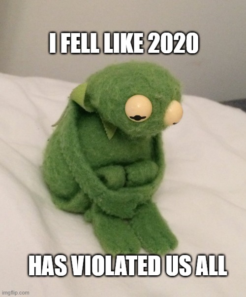 Kermit the Frog | I FELL LIKE 2020; HAS VIOLATED US ALL | image tagged in kermit the frog | made w/ Imgflip meme maker