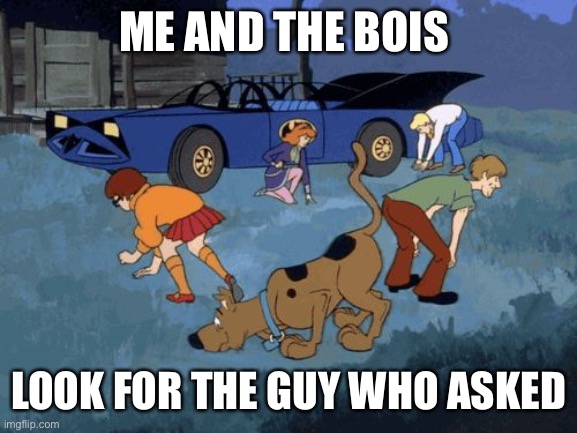 Who asked | ME AND THE BOIS; LOOK FOR THE GUY WHO ASKED | image tagged in scooby doo | made w/ Imgflip meme maker