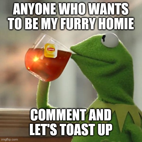 But That's None Of My Business | ANYONE WHO WANTS TO BE MY FURRY HOMIE; COMMENT AND LET'S TOAST UP | image tagged in memes,but that's none of my business,kermit the frog | made w/ Imgflip meme maker