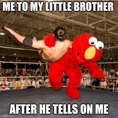 Elmo wrestling | ME TO MY LITTLE BROTHER; AFTER HE TELLS ON ME | image tagged in elmo wrestling | made w/ Imgflip meme maker