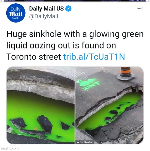 Toronto Ninja Turtles Blank Meme Template