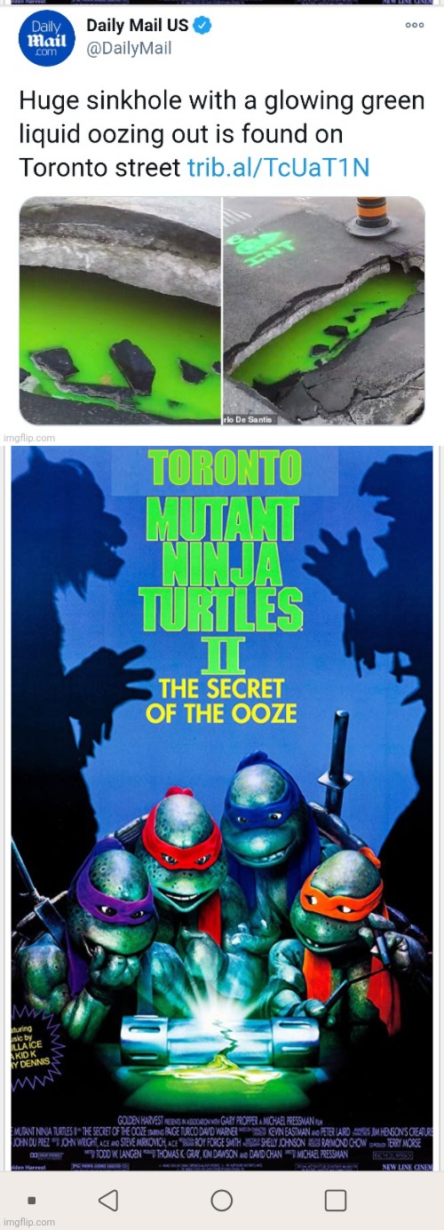 image tagged in toronto ninja turtles | made w/ Imgflip meme maker