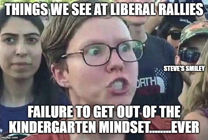 politics | STEVE'S SMILEY | image tagged in political meme | made w/ Imgflip meme maker