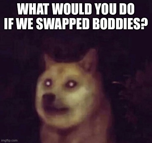 Cursed Doge | WHAT WOULD YOU DO IF WE SWAPPED BODDIES? | image tagged in cursed doge | made w/ Imgflip meme maker