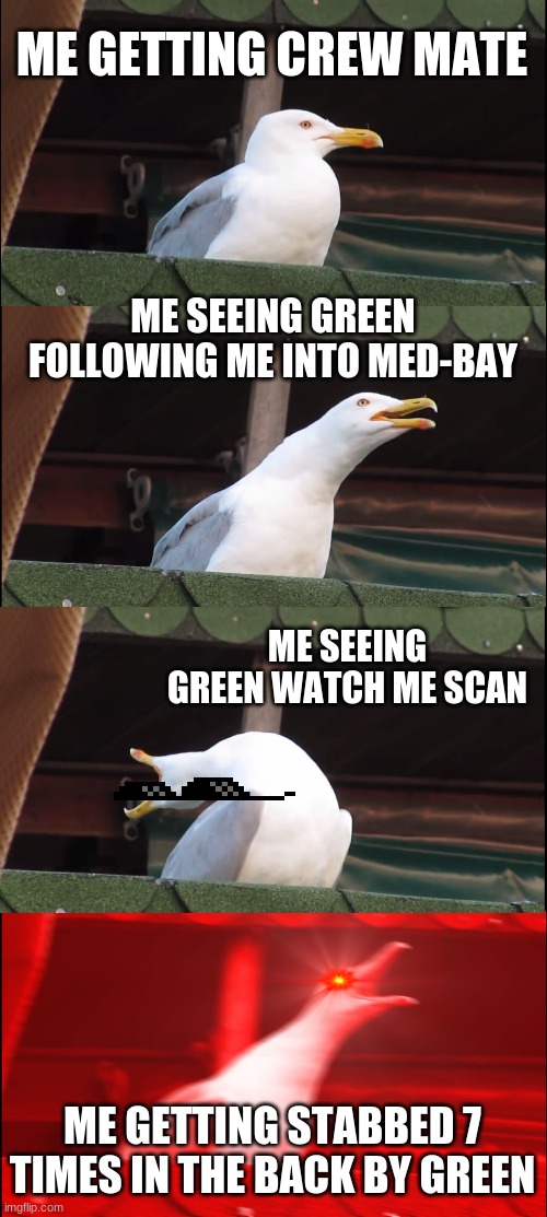 Me getting crew-mate... again (among us) | ME GETTING CREW MATE; ME SEEING GREEN FOLLOWING ME INTO MED-BAY; ME SEEING GREEN WATCH ME SCAN; ME GETTING STABBED 7 TIMES IN THE BACK BY GREEN | image tagged in memes,inhaling seagull | made w/ Imgflip meme maker
