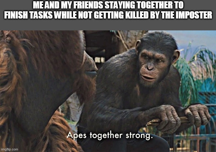 How to avoid getting killed | ME AND MY FRIENDS STAYING TOGETHER TO FINISH TASKS WHILE NOT GETTING KILLED BY THE IMPOSTER | image tagged in ape together strong,among us | made w/ Imgflip meme maker