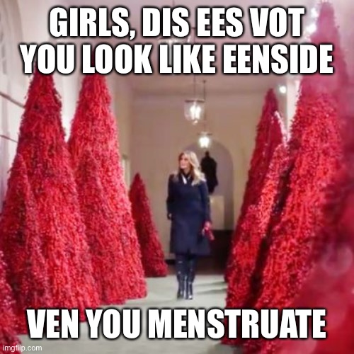 Melania and menstruation | GIRLS, DIS EES VOT YOU LOOK LIKE EENSIDE; VEN YOU MENSTRUATE | image tagged in menstruation | made w/ Imgflip meme maker