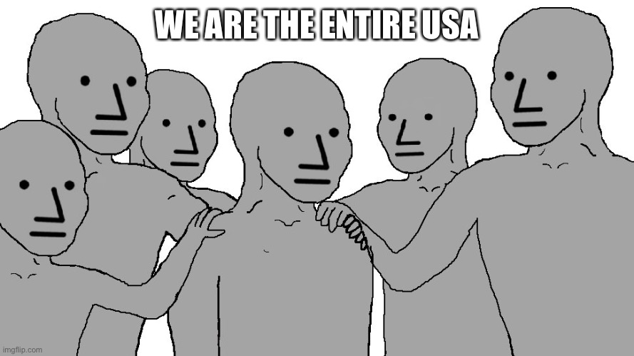 NPC Wojack | WE ARE THE ENTIRE USA | image tagged in npc wojack | made w/ Imgflip meme maker