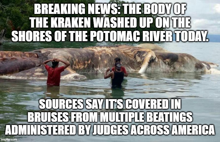 The Kraken is dead | BREAKING NEWS: THE BODY OF THE KRAKEN WASHED UP ON THE SHORES OF THE POTOMAC RIVER TODAY. SOURCES SAY IT'S COVERED IN BRUISES FROM MULTIPLE BEATINGS ADMINISTERED BY JUDGES ACROSS AMERICA | image tagged in kraken,release the kraken | made w/ Imgflip meme maker