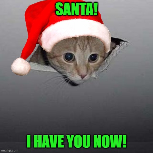 Not too early to begin Christmas memes | SANTA! I HAVE YOU NOW! | image tagged in memes,ceiling cat,santa hat,pounce | made w/ Imgflip meme maker