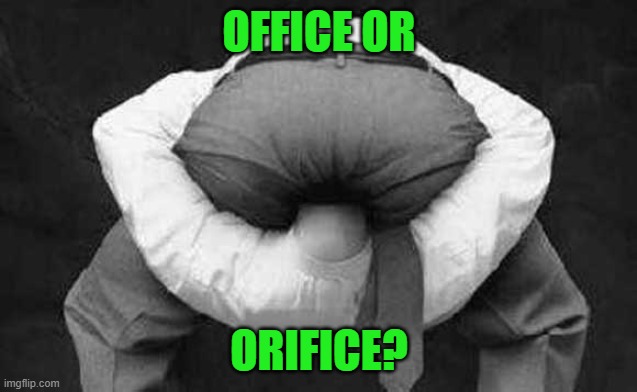 Head up ass  | OFFICE OR ORIFICE? | image tagged in head up ass | made w/ Imgflip meme maker