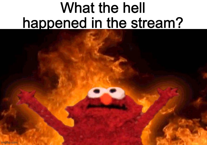elmo fire | What the hell happened in the stream? | image tagged in elmo fire | made w/ Imgflip meme maker