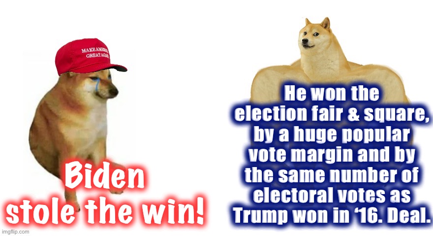 Tl;dr summary of the last 2.5 weeks of politics. | He won the election fair & square, by a huge popular vote margin and by the same number of electoral votes as Trump won in ‘16. Deal. Biden stole the win! | image tagged in cheems maga hat vs swole doge,conspiracy theory,election 2020,2020 elections,conservative logic,joe biden | made w/ Imgflip meme maker