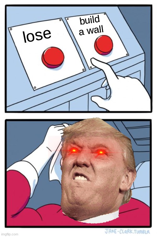 Two Buttons Meme |  build a wall; lose | image tagged in memes,two buttons | made w/ Imgflip meme maker