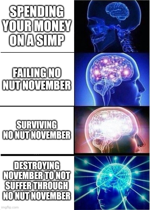 big brain | SPENDING YOUR MONEY ON A SIMP; FAILING NO NUT NOVEMBER; SURVIVING NO NUT NOVEMBER; DESTROYING NOVEMBER TO NOT SUFFER THROUGH NO NUT NOVEMBER | image tagged in memes,expanding brain | made w/ Imgflip meme maker