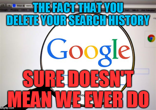 Google search | THE FACT THAT YOU DELETE YOUR SEARCH HISTORY SURE DOESN'T MEAN WE EVER DO | image tagged in google search | made w/ Imgflip meme maker