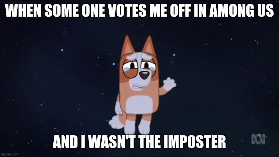 among us meme ( bluey ) | WHEN SOME ONE VOTES ME OFF IN AMONG US; AND I WASN'T THE IMPOSTER | image tagged in memes | made w/ Imgflip meme maker