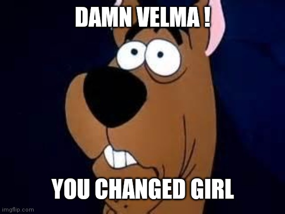 Scooby Doo Surprised | DAMN VELMA ! YOU CHANGED GIRL | image tagged in scooby doo surprised | made w/ Imgflip meme maker