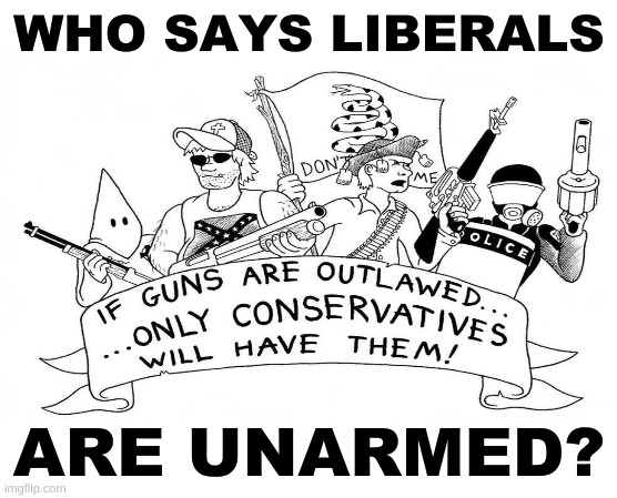 WHO SAYS LIBERALS; ARE UNARMED? | image tagged in armed liberals,conservative hypocrisy,gun rights,self defense,civil war,trump lost | made w/ Imgflip meme maker