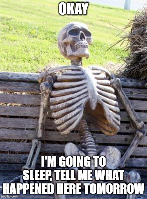 Waiting Skeleton | OKAY; I'M GOING TO SLEEP, TELL ME WHAT HAPPENED HERE TOMORROW | image tagged in memes,waiting skeleton | made w/ Imgflip meme maker