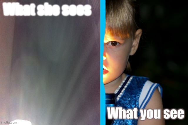 What she sees VS What you see | What she sees; What you see | image tagged in meme,funny,flashlight | made w/ Imgflip meme maker